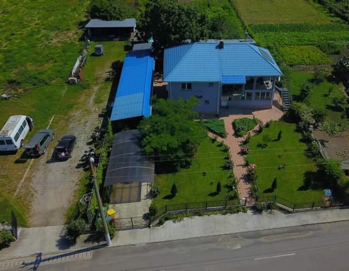 Casa Cu Trandafiri Murighiol Exterior photo